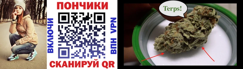 хочу наркоту дарк нет формула Марихуана индика Красный Холм